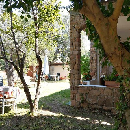 فيلا Pedras House Holidays سانتا ماريا نافاريز المظهر الخارجي الصورة